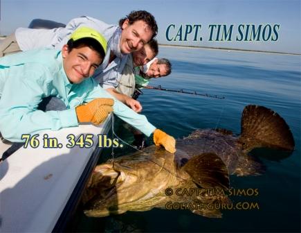 florida fishing charter huge Goliath Grouper