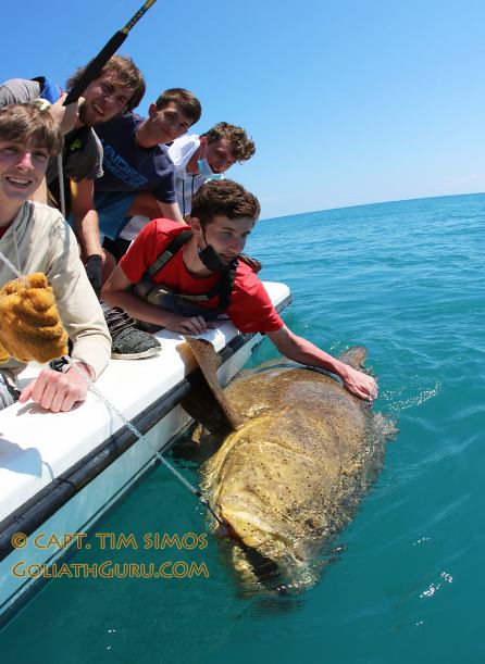 goliath grouper fishing guide florida